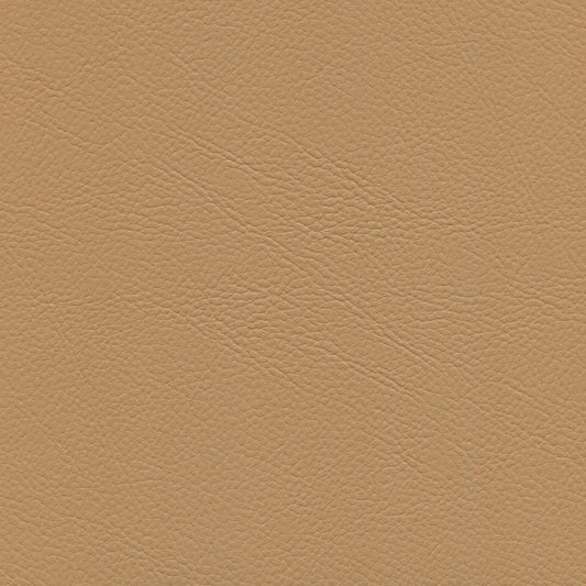 NICHOLASJOHN INC NJ-BENZ Java    Fabric - NJ25-2151