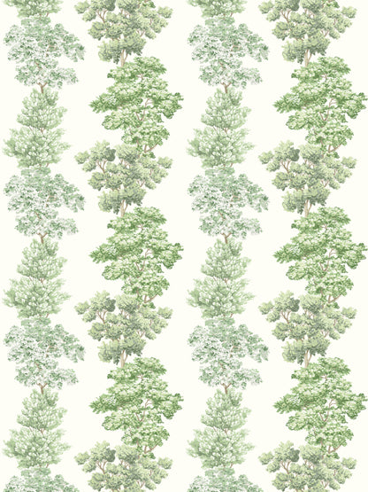 SCALAMANDRE  CENTRAL PARK FABRIC GREEN   - CN 00010071 NEW SKU # CN00710001