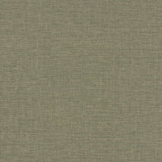 GALERIE WALLCOVERINGS Concept Rough, Textile   Brown   - CO1019