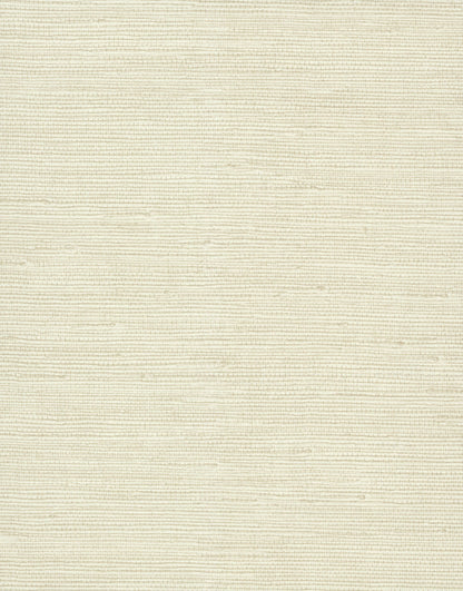York Wallcoverings Candice Olson Terrain Pampas Beige Wallpaper  Textures Neutrals   - COD0549N