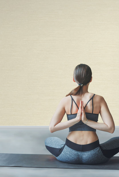 York Wallcoverings Candice Olson Terrain Pampas Beige Wallpaper  Textures Neutrals   - COD0549N