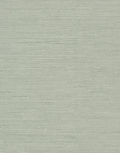 York Wallcoverings Candice Olson Terrain Pampas Green Wallpaper  Textures Greens   - COD0550N