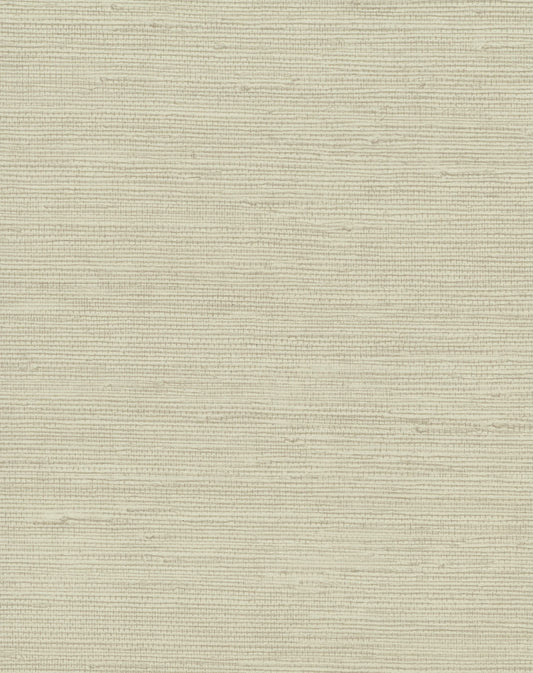 York Wallcoverings Candice Olson Terrain Pampas Beige Wallpaper  Textures Neutrals   - COD0551N