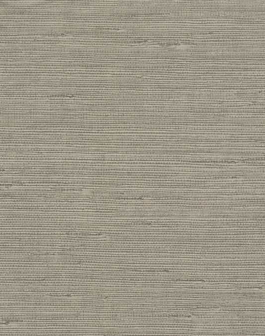 York Wallcoverings Candice Olson Terrain Pampas Brown Wallpaper  Textures Browns   - COD0553N