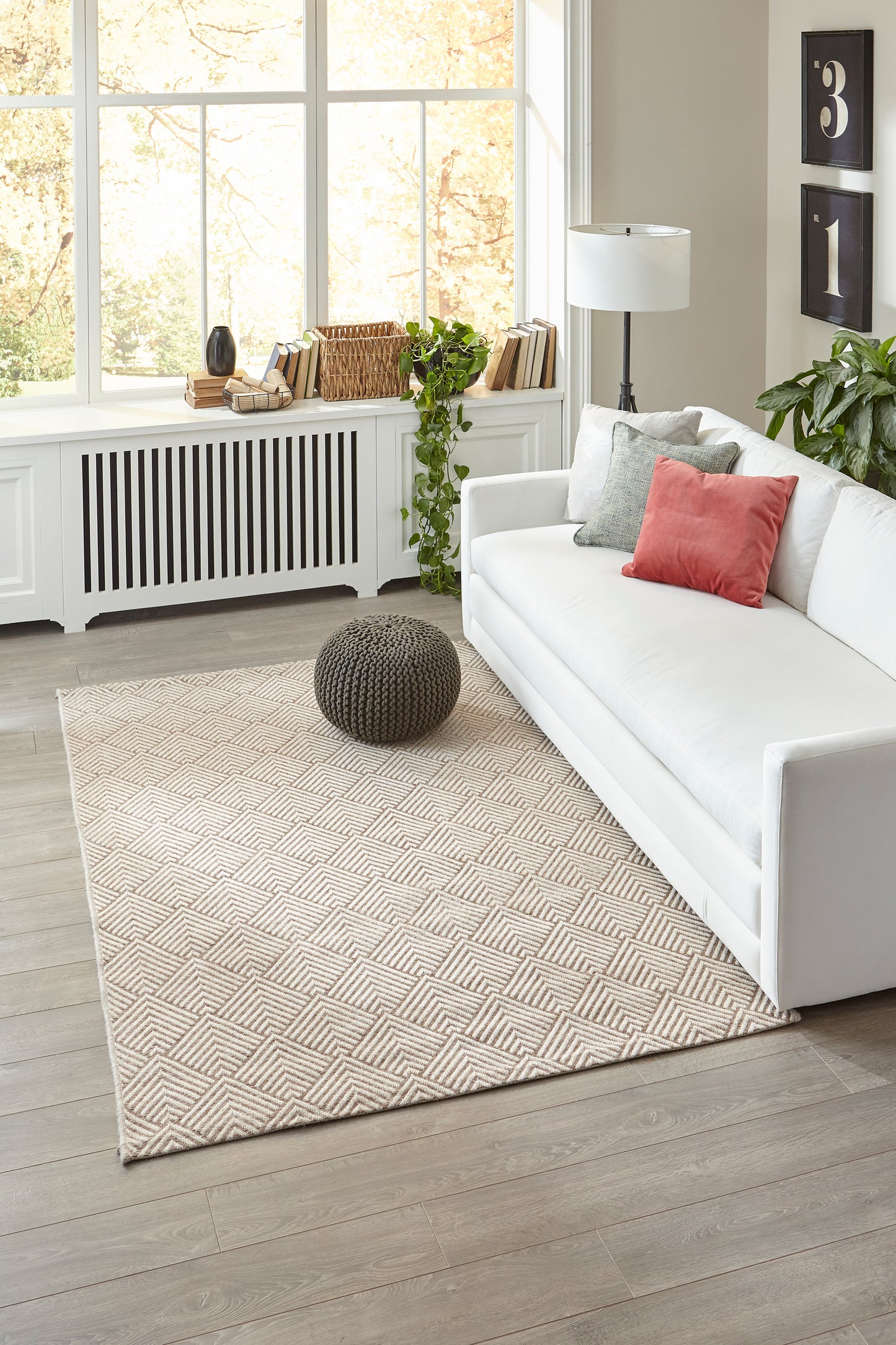Bright modern living room: white fabric sofa, beige geometric rug, round gray knitted pouf, green plant, sunny windows.
