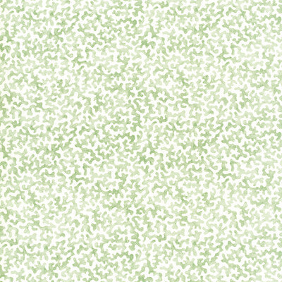 KRAVET BASICS PRINT SMALL SCALE SAGE,WHITE,   - CORALCOAST.30.0