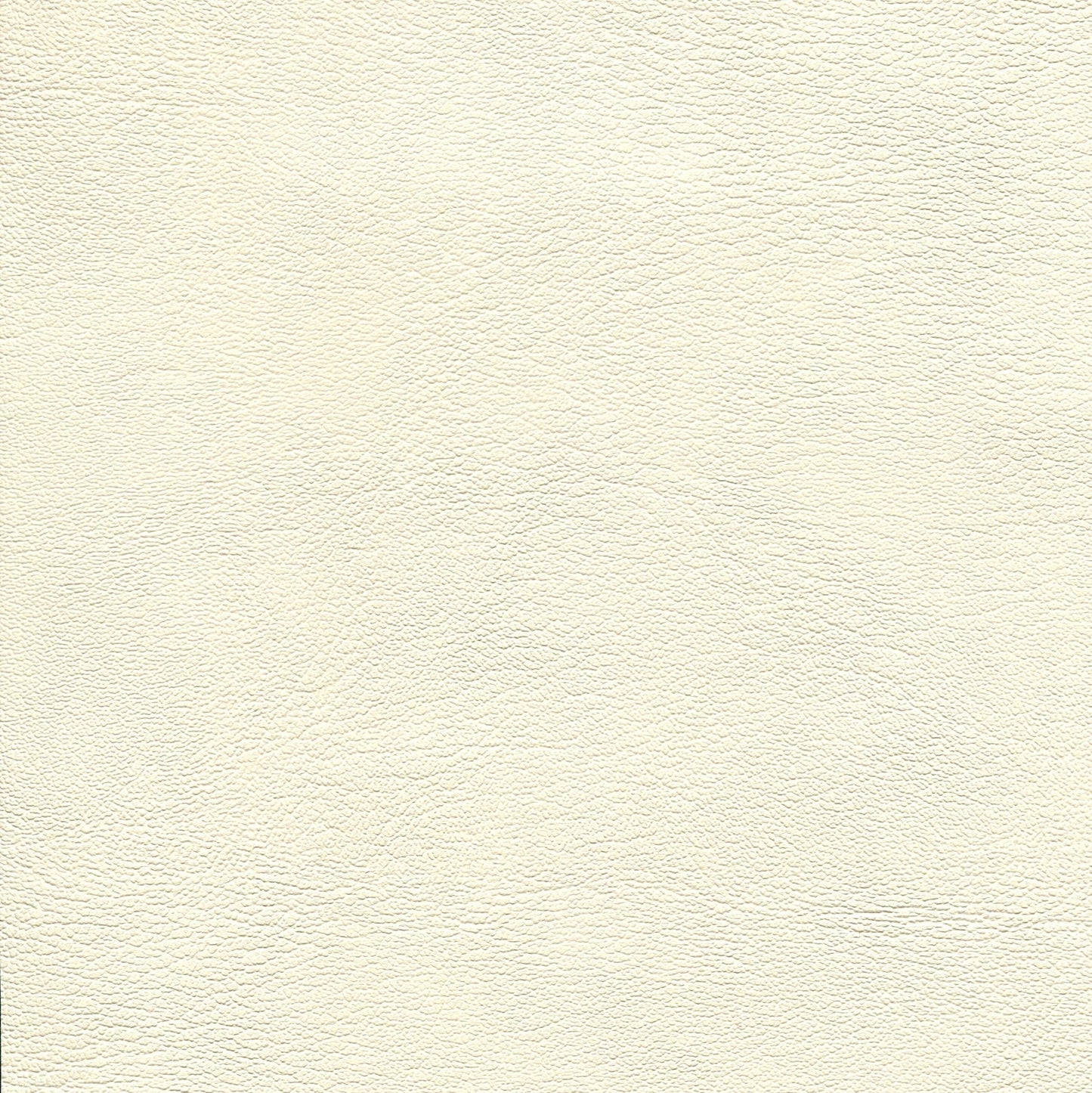 NICHOLASJOHN INC NJ-ECORIN White    Fabric - NJ25-708