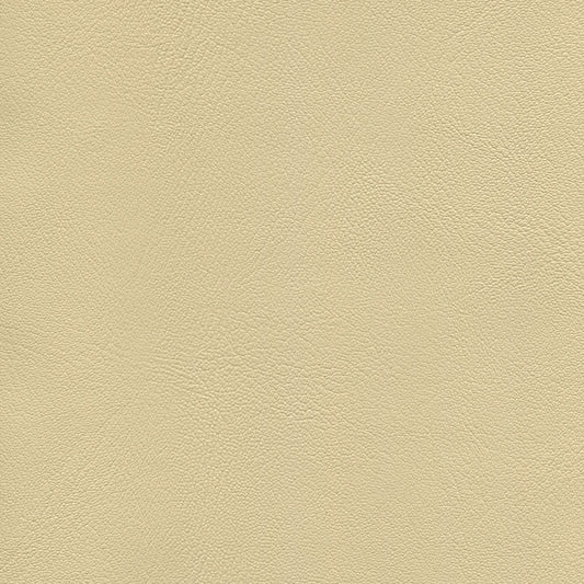 NICHOLASJOHN INC NJ-ECORIN Cappuccino Cre    Fabric - NJ25-709