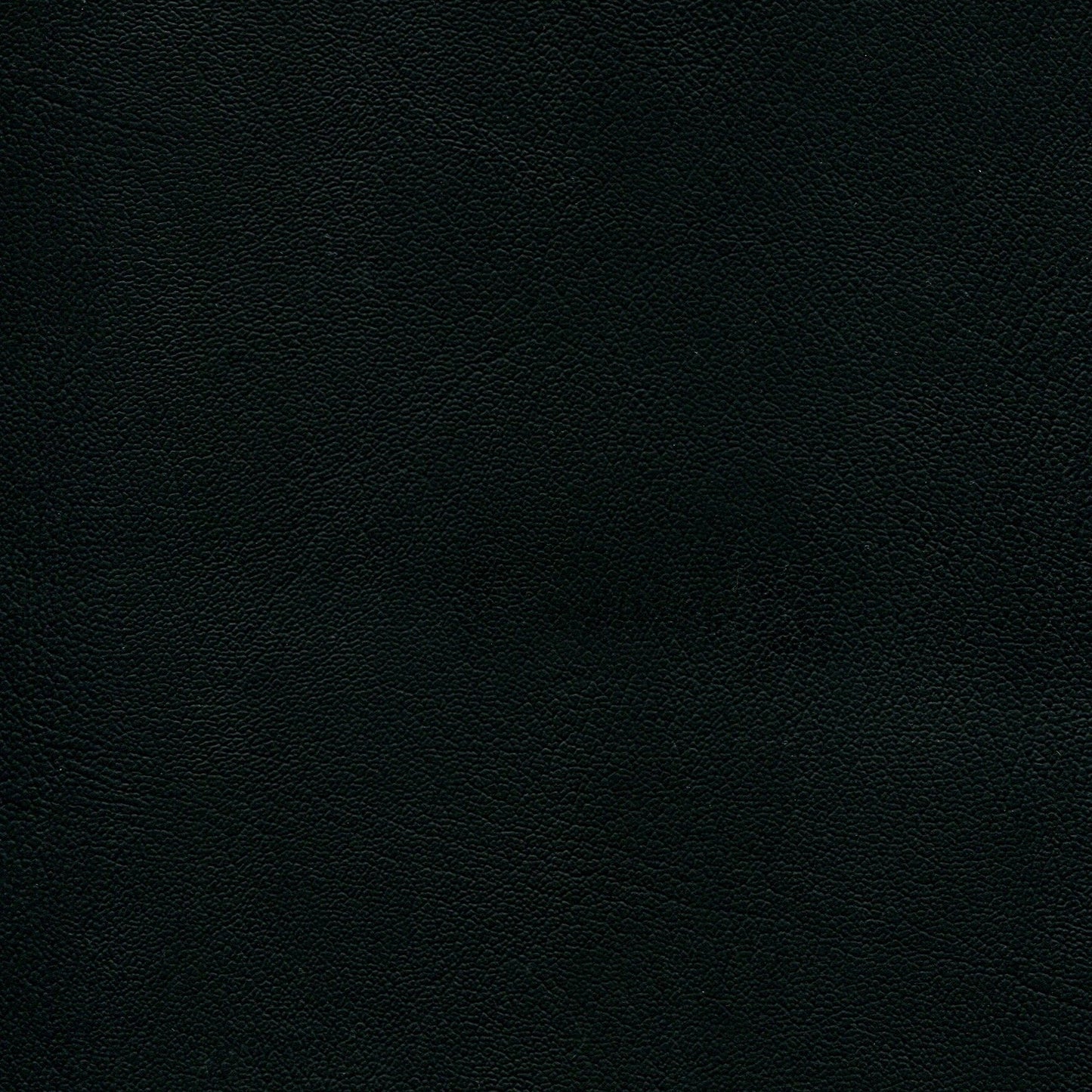 NICHOLASJOHN INC NJ-ECORIN Ebony    Fabric - NJ25-713