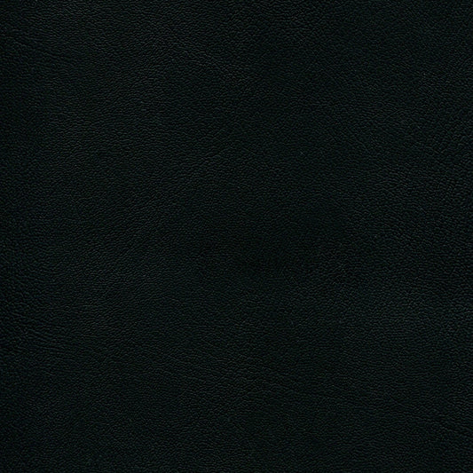 NICHOLASJOHN INC NJ-ECORIN Ebony    Fabric - NJ25-713
