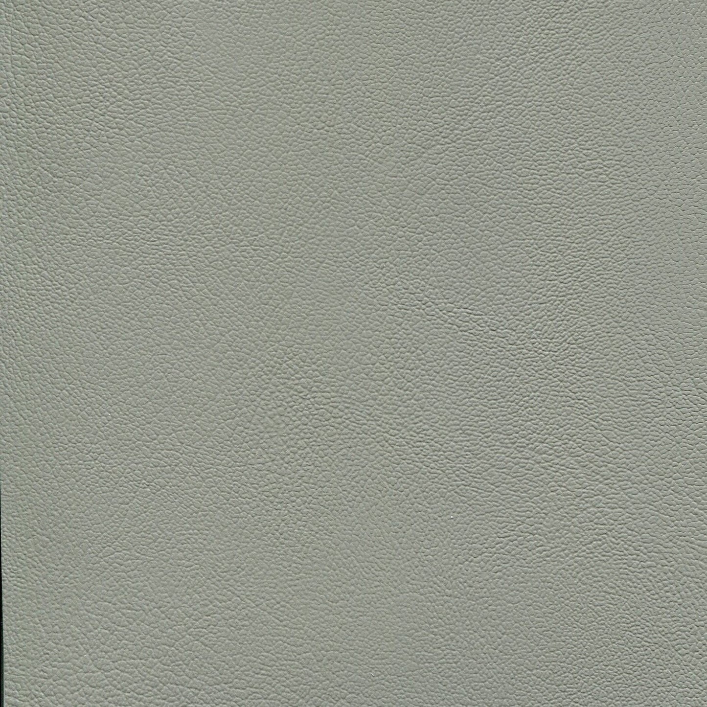 Light titanium gray fabric with fine pebble grain texture.