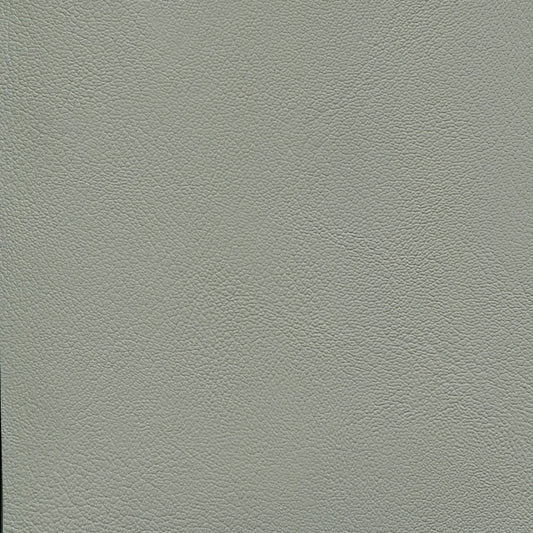 NICHOLASJOHN INC NJ-ECORIN Lt Titanium    Fabric - NJ25-715