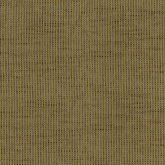 NICHOLASJOHN INC Kostaco-Green Texture   Fabric - NJ26-3925