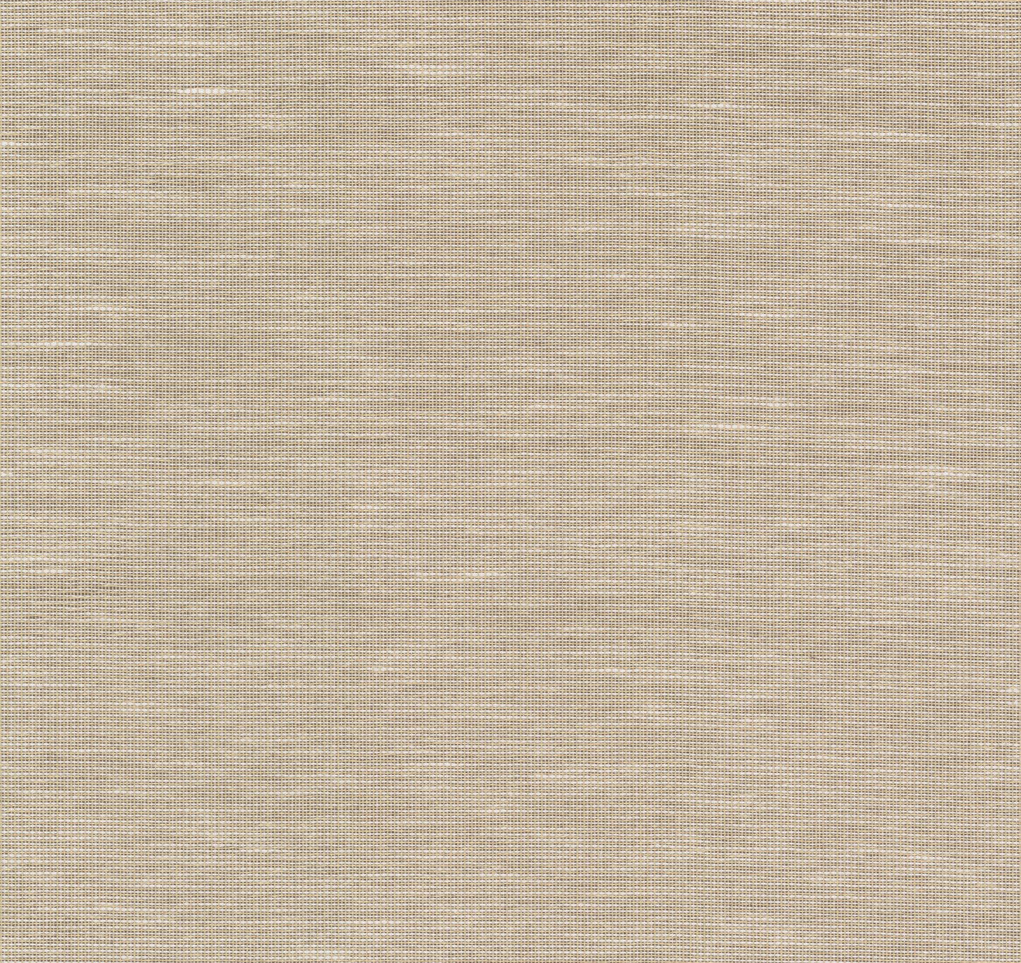 York Wallcoverings Designer Resource Madeira Wheat Wallpaper  Bohemian Whites and Off-Whites   - CR9201