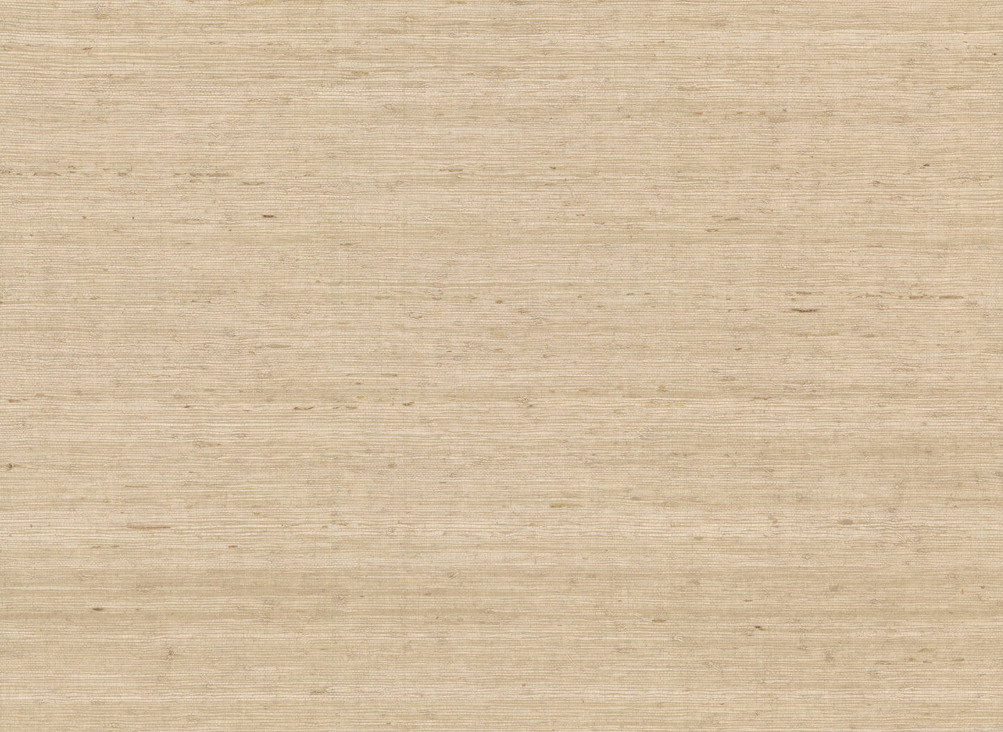 York Wallcoverings Water's Edge Resource Library Arrowroot Cream Wallpaper  Grasscloth Whites and Off-Whites   - CV4401