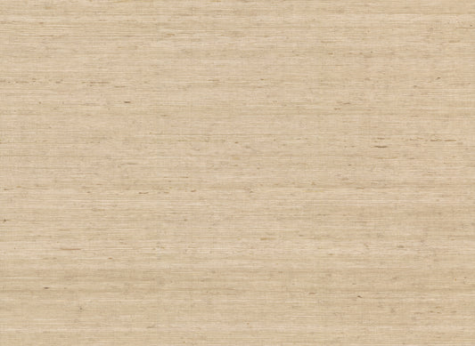 York Wallcoverings Water's Edge Resource Library Arrowroot Cream Wallpaper  Grasscloth Whites and Off-Whites   - CV4401