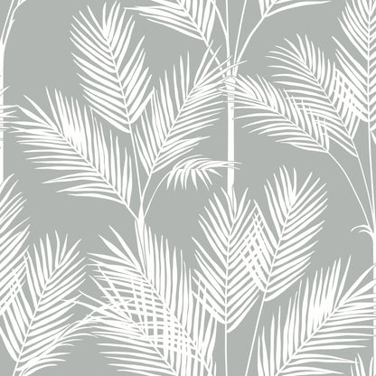 York Wallcoverings Beige & Neutrals King Palm Silhouette Grey Wallpaper Botanical Botanical Grey   - CV4412