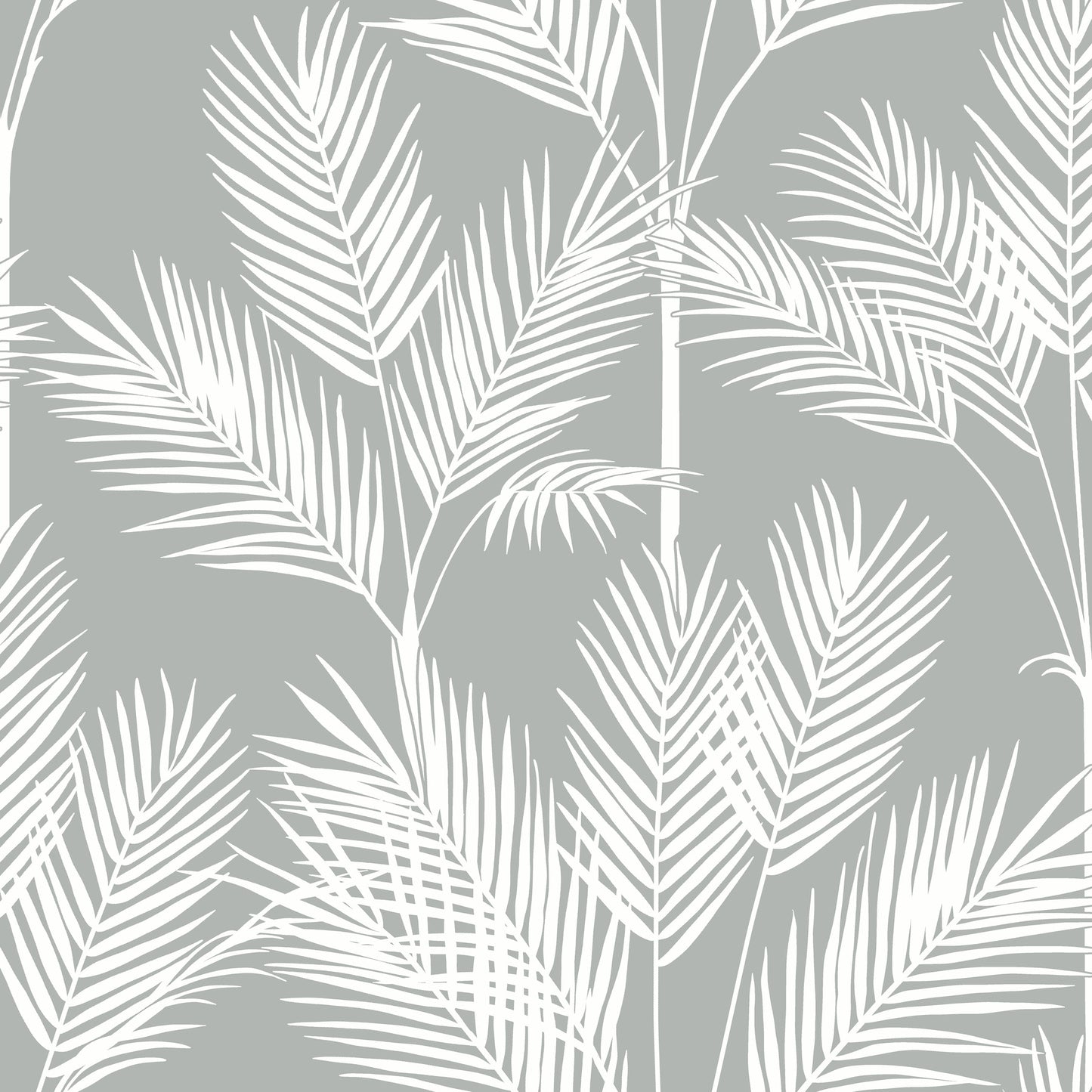 York Wallcoverings Water's Edge Resource Library King Palm Silhouette Grey Wallpaper  Botanical Greys   - CV4412