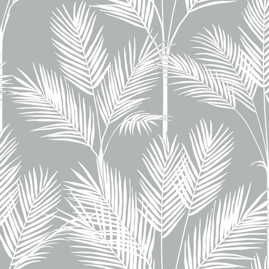 York Wallcoverings Water's Edge Resource Library King Palm Silhouette Grey Wallpaper  Botanical Greys   - CV4412