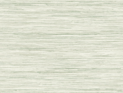 York Wallcoverings Blues II Bahiagrass Green Wallpaper   Greens   - CV4413
