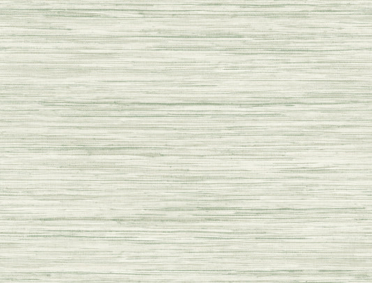 York Wallcoverings Blues II Bahiagrass Green Wallpaper   Greens   - CV4413