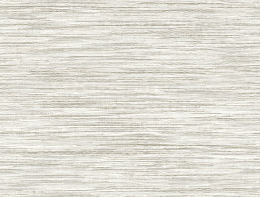 York Wallcoverings Beige and Neutrals Bahiagrass Beige Wallpaper  Textures Neutrals   - CV4416