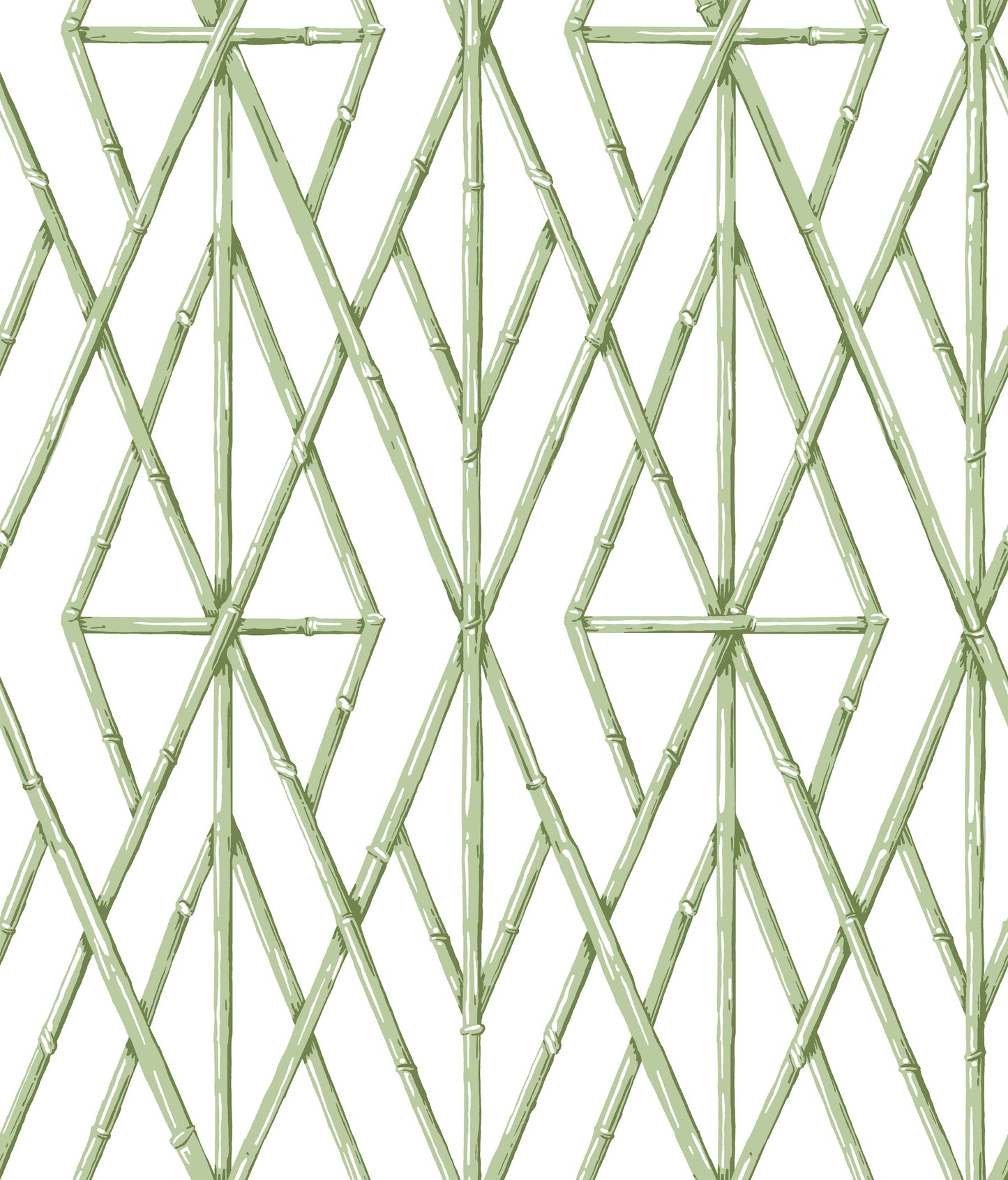York Wallcoverings Water's Edge Resource Library Riviera Bamboo Trellis Green Wallpaper Trellis & Lattice Trellis & Lattice Green   - CV4451
