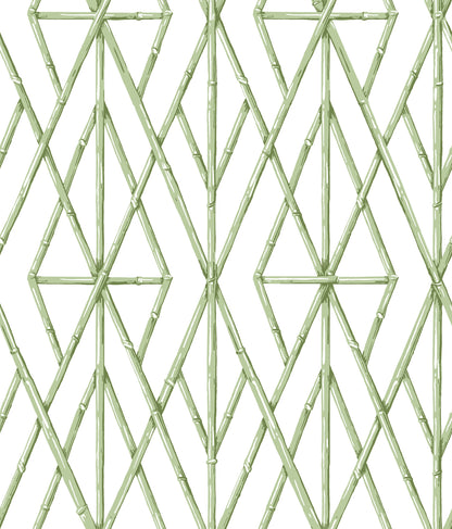 York Wallcoverings Water's Edge Resource Library Riviera Bamboo Trellis Green Wallpaper Trellis & Lattice Trellis & Lattice Green   - CV4451