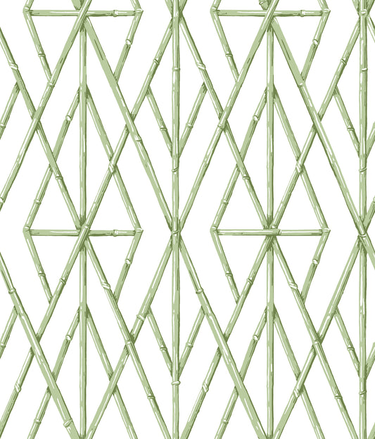 York Wallcoverings Beige and Neutrals Riviera Bamboo Trellis Green Wallpaper  Trellis and Lattice Greens   - CV4451