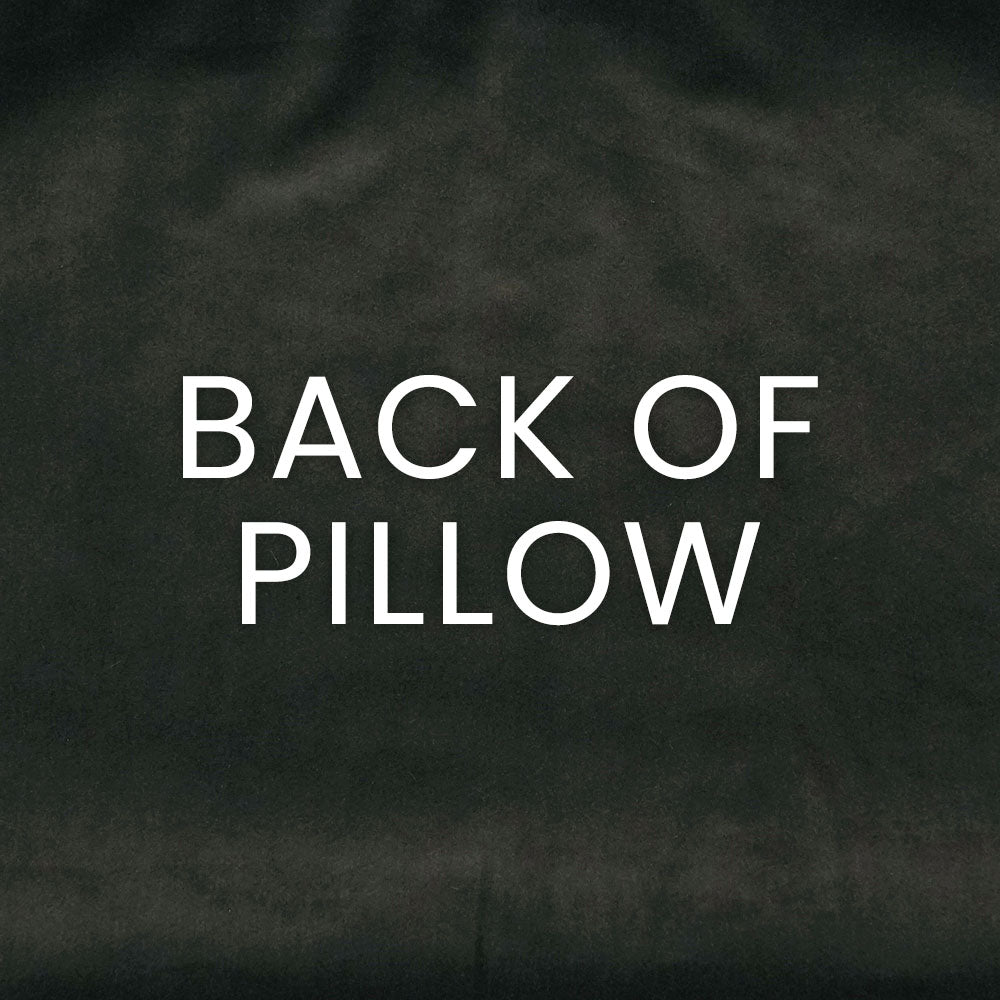 Charcoal velvet pillow back with large white text that reads BACK OF PILLOW