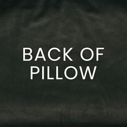 Charcoal velvet pillow back with large white text that reads BACK OF PILLOW