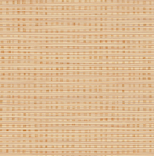 Seabrook Designs  Weave Kids & Nursery Contemporary Terra Cotta   - DA61301