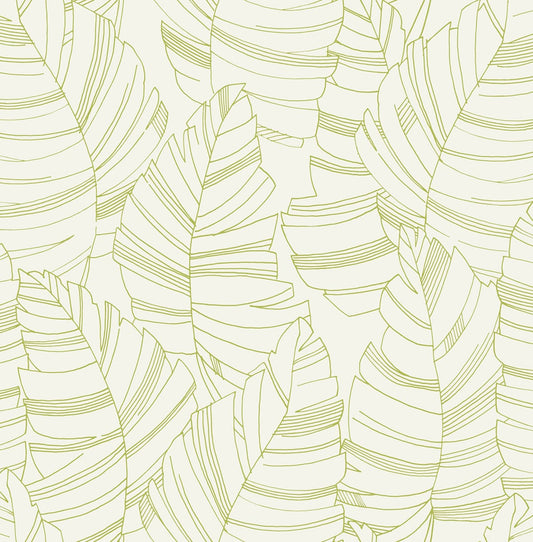 Seabrook Designs  Jungle Leaves Kids & Nursery Contemporary Green Apple   - DA61404