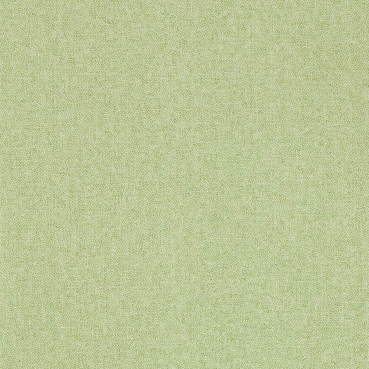 SANDERSON Sessile Plain Wallpaper Plains , Textures Moss Green  Gravure Printed Wallpaper - DABW217248