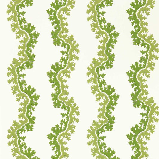 SANDERSON Oxbow Wallpaper Abstract , Graphic Sap Green  Surface- Printed Wallpaper - DABW217251