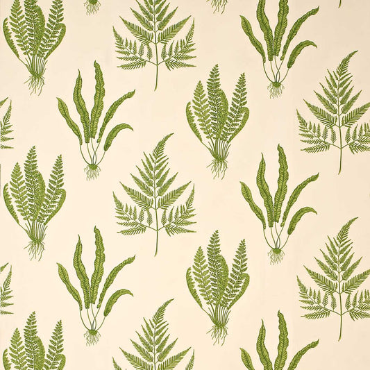 SANDERSON Woodland Ferns Fabric Leaves , Trees Green   - DAPGWO202