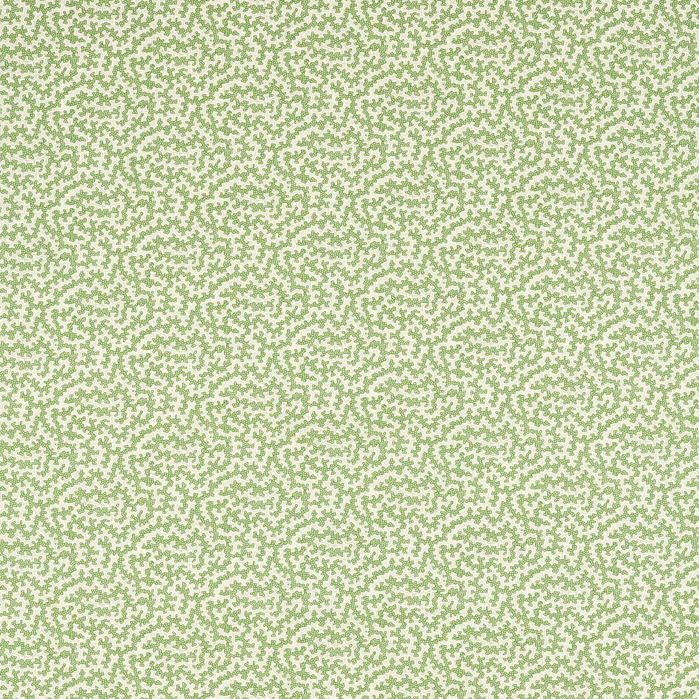 SANDERSON Truffle Fabric Abstract , Graphic Sap Green   - DARB227083