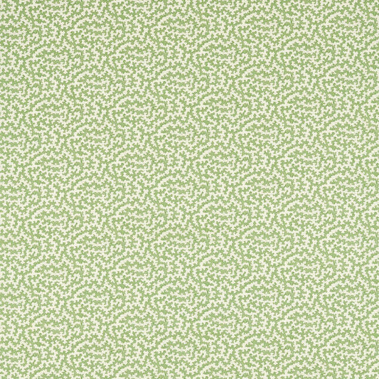 SANDERSON Truffle Fabric Abstract , Graphic Sap Green   - DARB227083
