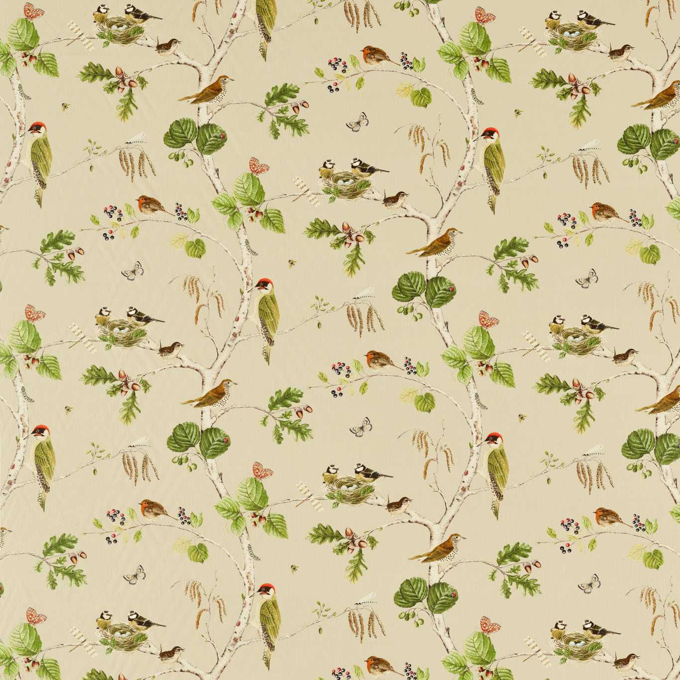 SANDERSON Woodland Chorus Fabric Birds Birch,Multi   - DARF227060