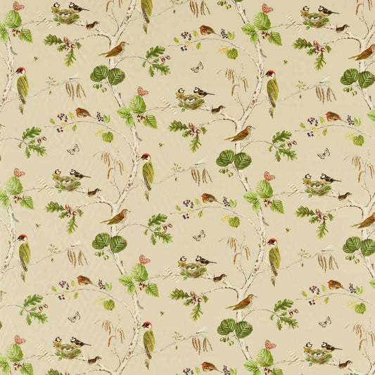 SANDERSON Woodland Chorus Fabric Birds Birch,Multi   - DARF227060