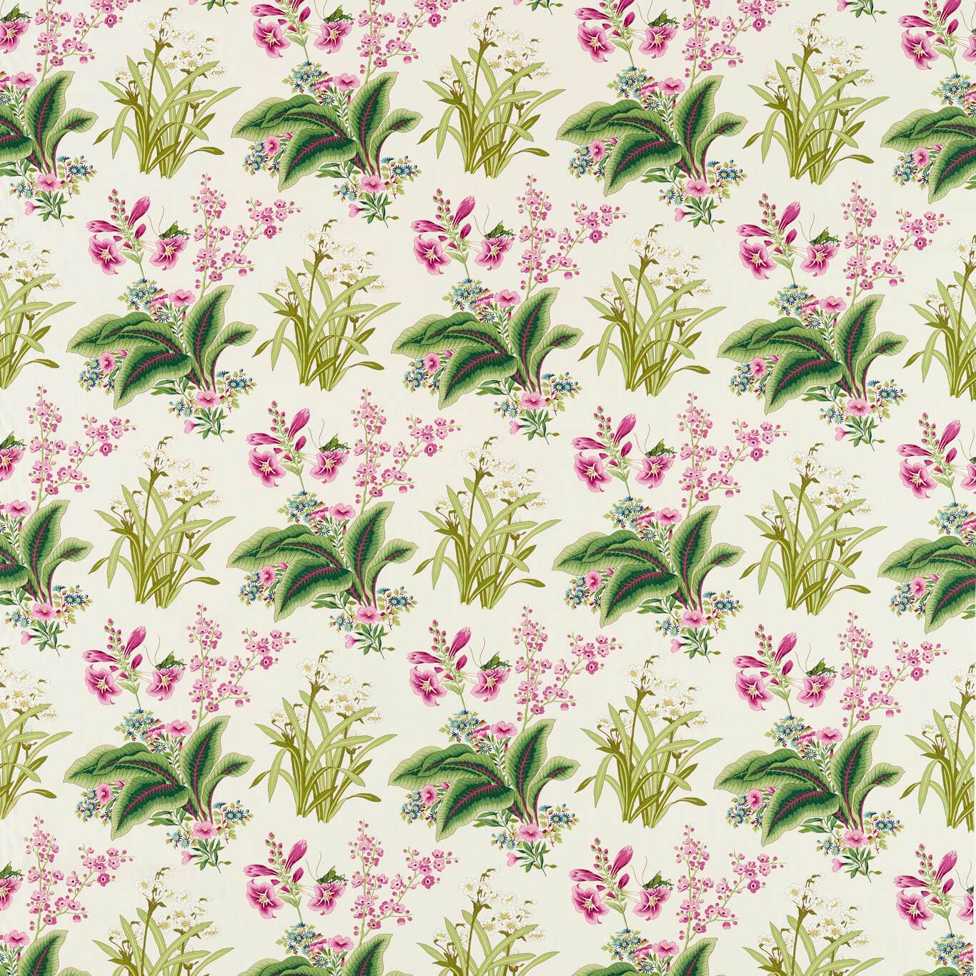 SANDERSON Enys Garden Fabric Leaves , Trees Rose, Leaf   - DARF227062