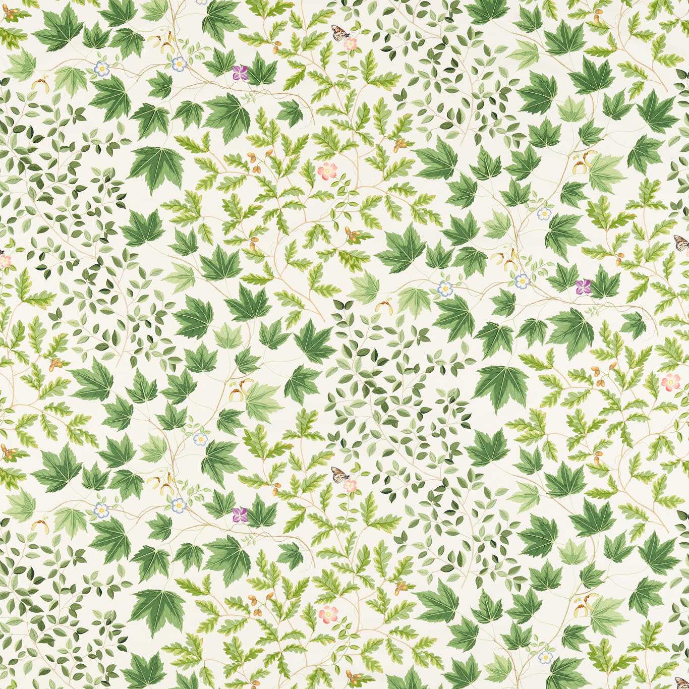 SANDERSON Sycamore and Oak Fabric Leaves , Trees Botanical Green   - DARF227073