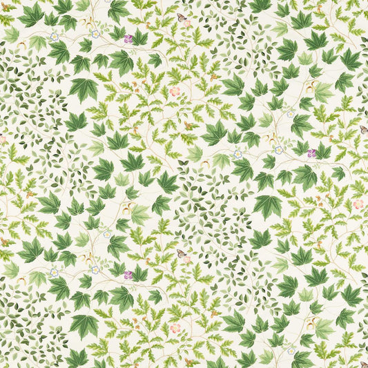 SANDERSON Sycamore and Oak Fabric Leaves , Trees Botanical Green   - DARF227073