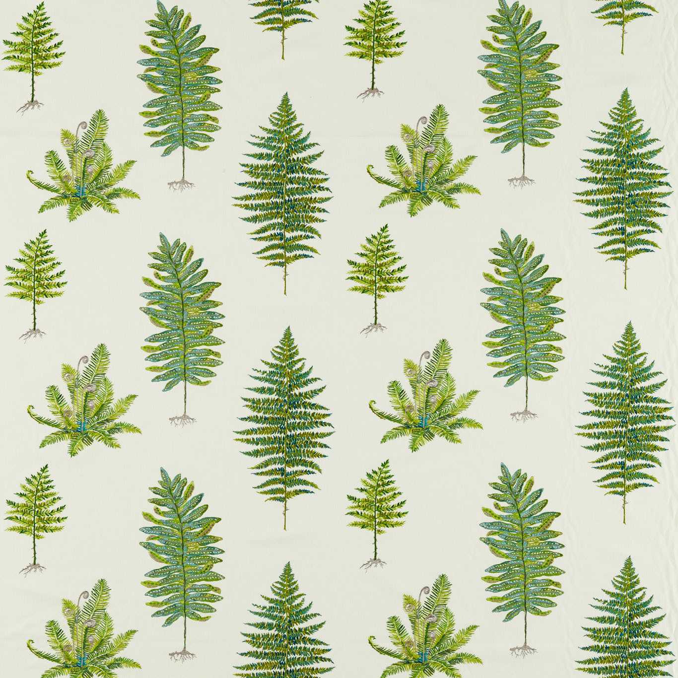 SANDERSON Fernery Embroidery Fabric Leaves , Trees Botanical Green   - DARF237319