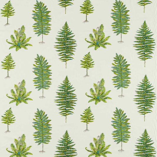 SANDERSON Fernery Embroidery Fabric Leaves , Trees Botanical Green   - DARF237319