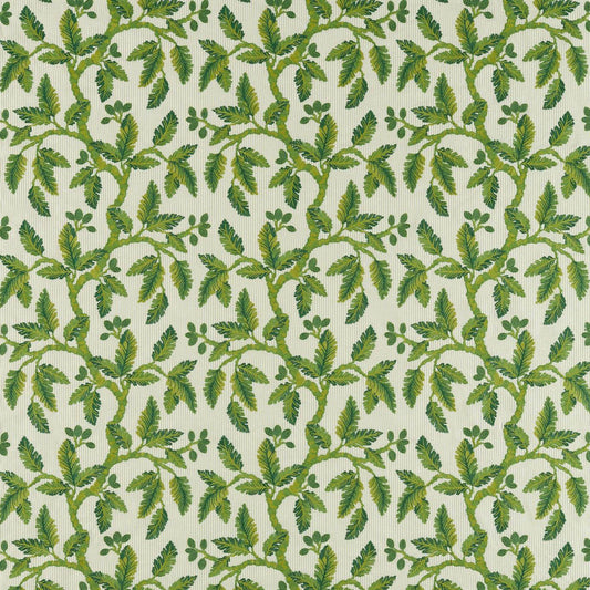 SANDERSON Oaknut Stripe Fabric Leaves , Trees Botanical Green   - DARF237321
