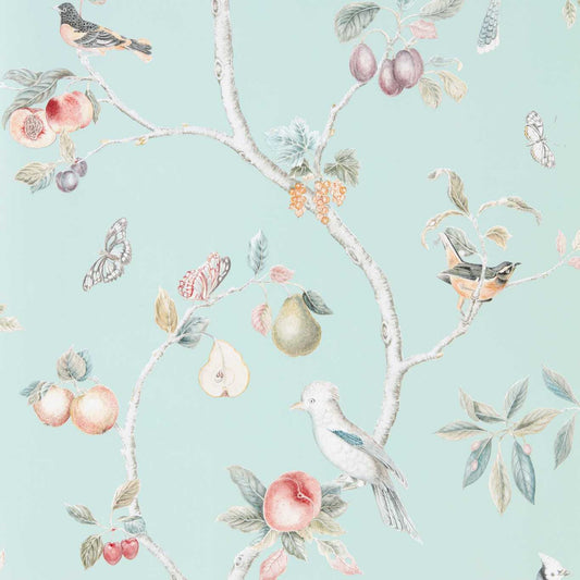 SANDERSON Fruit Aviary  Wallpaper Birds Duck Egg,Multi  Gravure - Wide Width Printed Wallpaper - DART216312