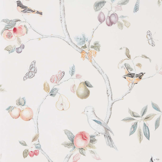 SANDERSON Fruit Aviary  Wallpaper Birds Cream,Multi  Gravure - Wide Width Printed Wallpaper - DART216314