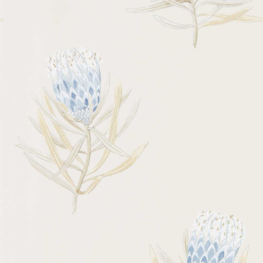 SANDERSON Protea Flower  Wallpaper Contemporary, Floral China Blue,Canvas  Gravure Printed Wallpaper - DART216327