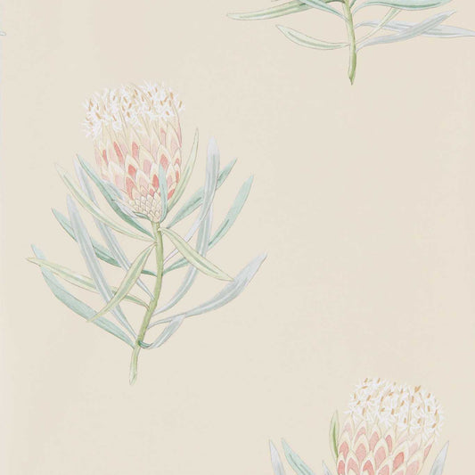 SANDERSON Protea Flower  Wallpaper Contemporary, Floral Russet,Green  Gravure Printed Wallpaper - DART216329
